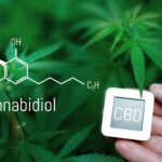 Hand holding a CBD label tile in front of a cannabis plant with the cannabidiol chemical molecular structure overlaid on the left.